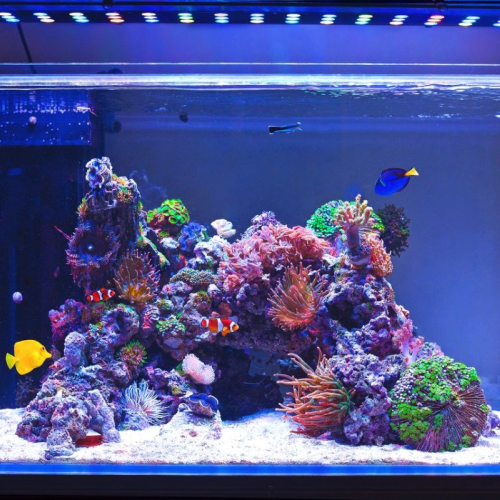 Применение